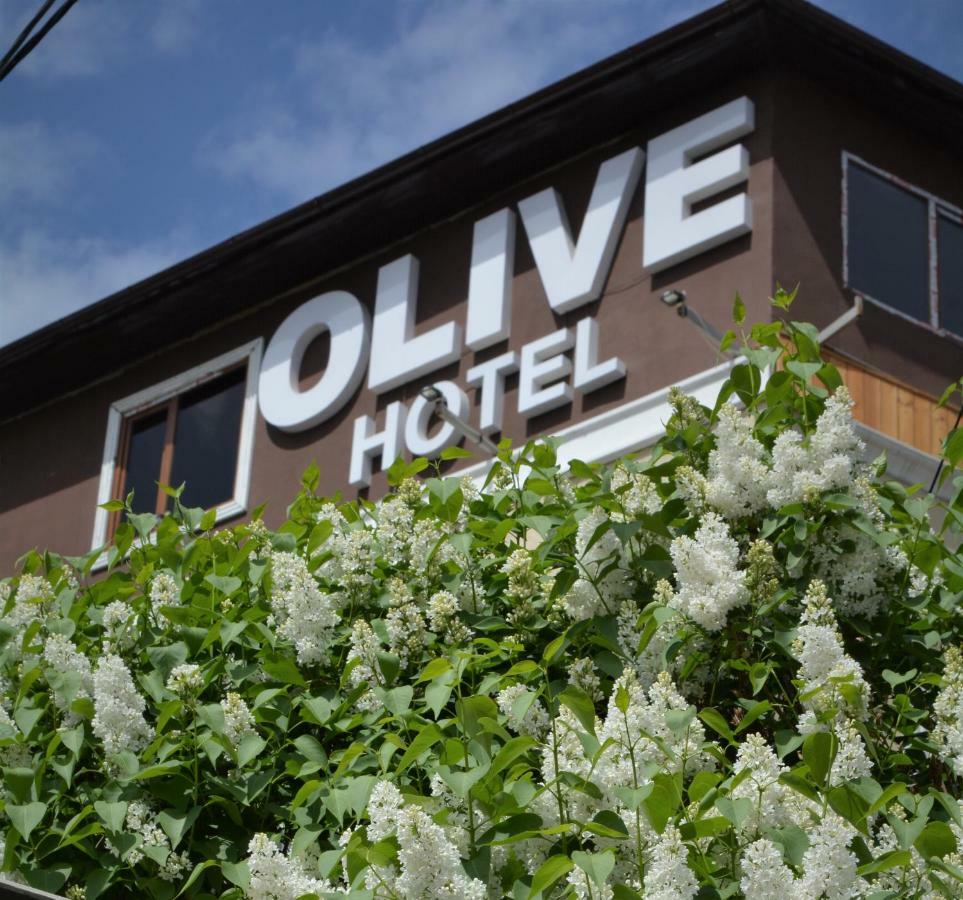 Olive Hotel Bisjkek Buitenkant foto